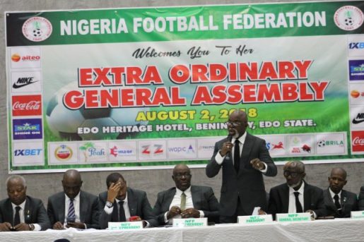 Image result for nigeria football federation