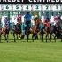 Horse Racing