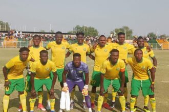NPFL ElKanemi Warriors