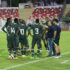 Super Eagles