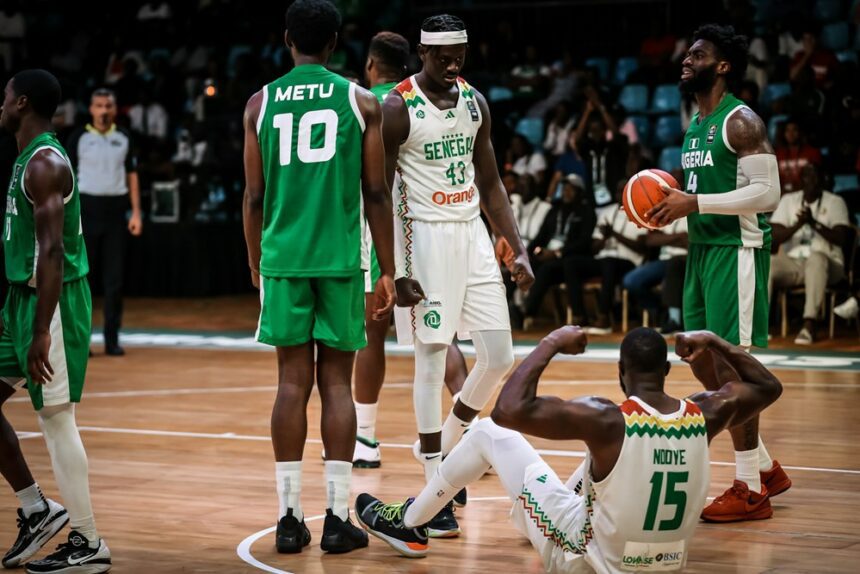 D'Tigers lose to Senegal