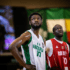 D'Tigers lose to Mali